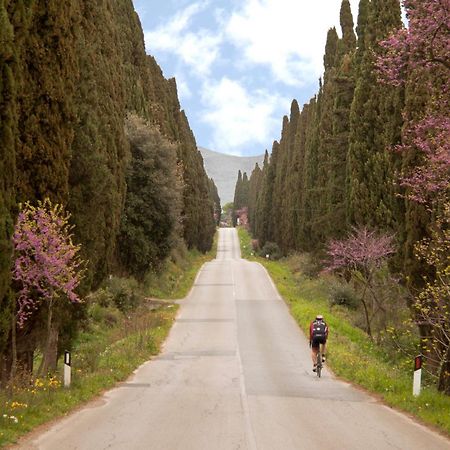 La Ripa Del Drago Villa Bibbona Luaran gambar