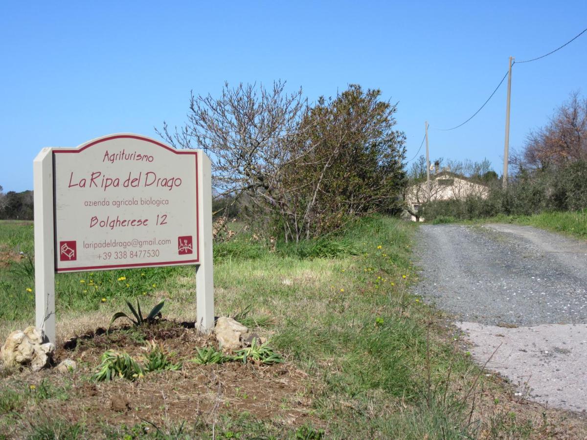 La Ripa Del Drago Villa Bibbona Luaran gambar