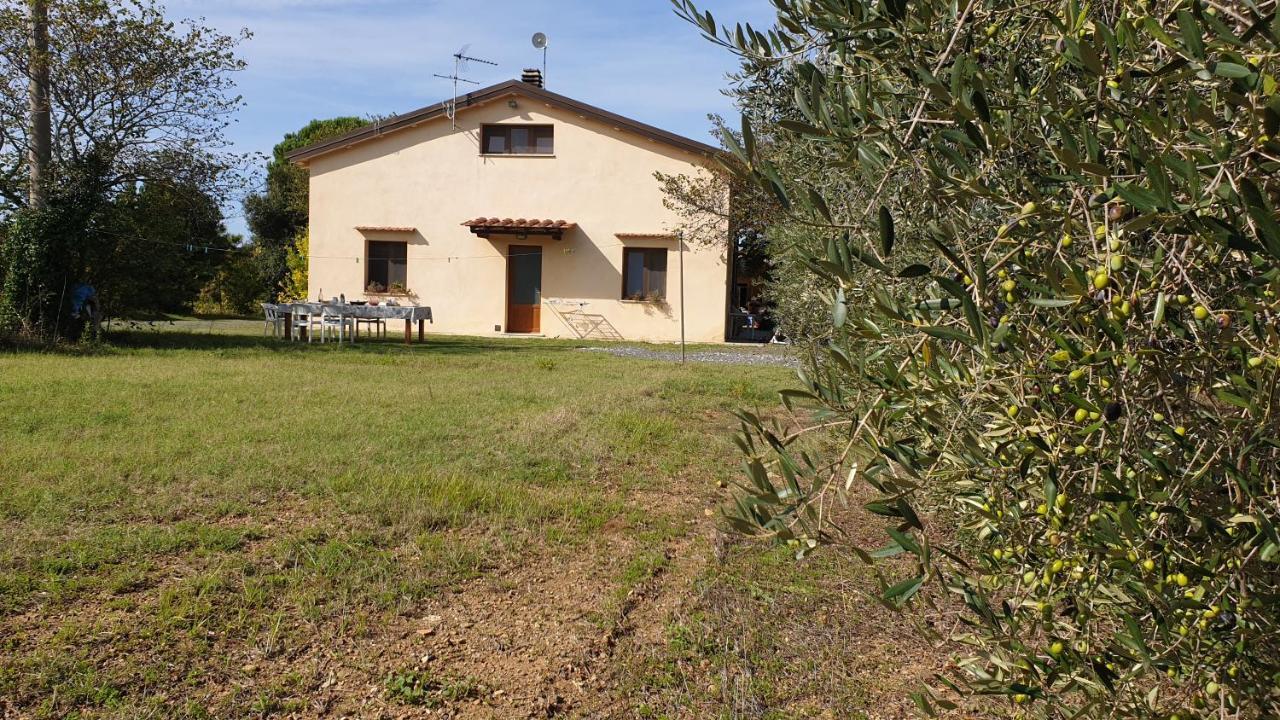La Ripa Del Drago Villa Bibbona Luaran gambar