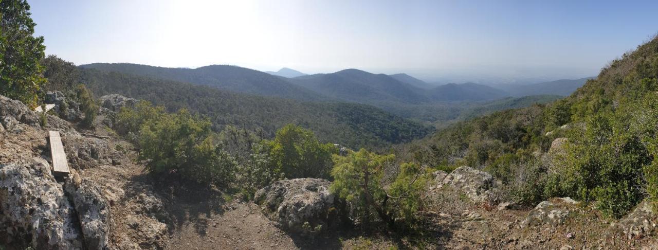 La Ripa Del Drago Villa Bibbona Luaran gambar