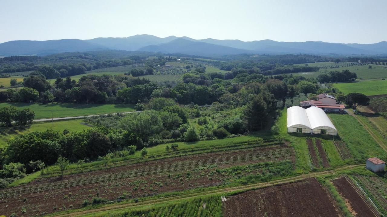 La Ripa Del Drago Villa Bibbona Luaran gambar