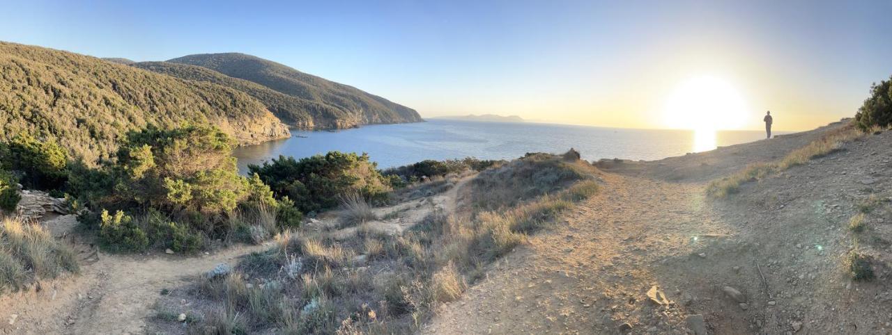 La Ripa Del Drago Villa Bibbona Luaran gambar