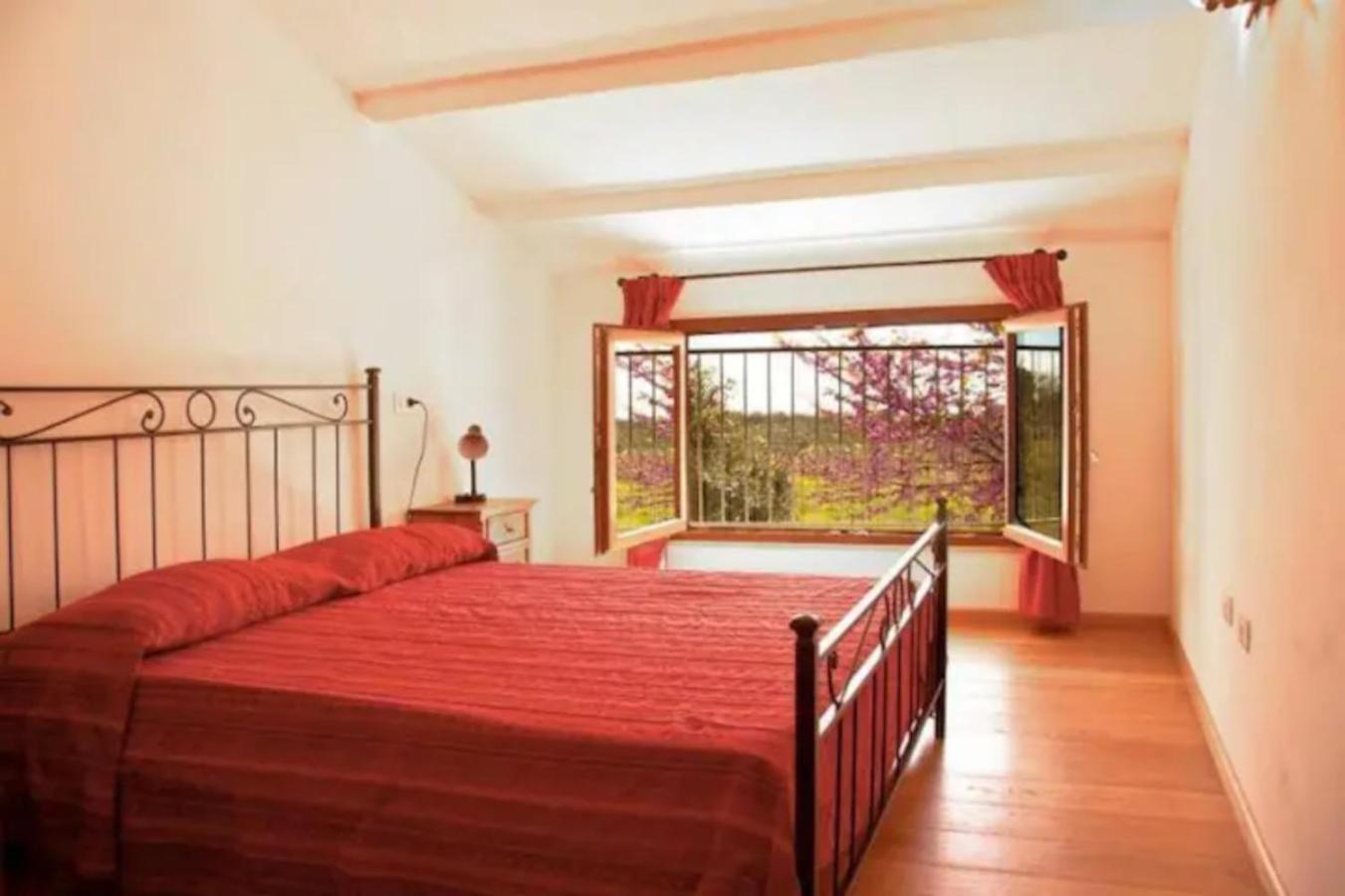 La Ripa Del Drago Villa Bibbona Luaran gambar